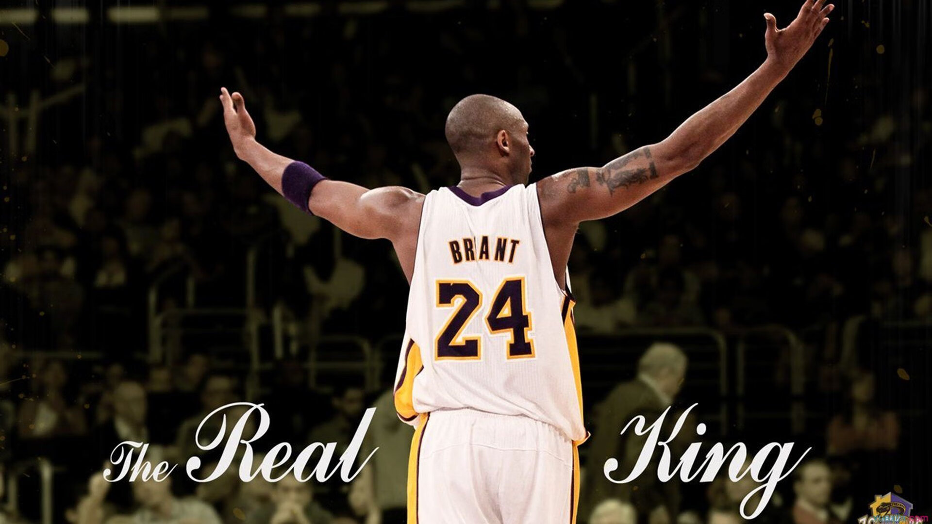 巴萨主场气氛热烈，球迷齐呼“重返巅峰”——激情与梦想的再燃