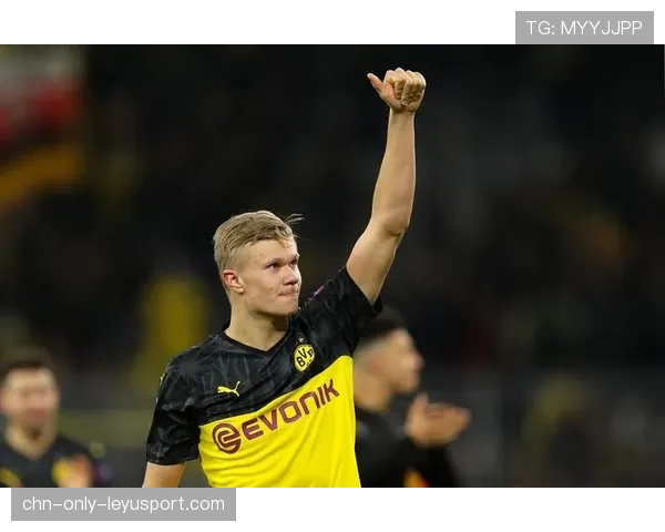 哈兰德体能管理获教练组高度评价,哈兰德履历 哈兰德体能管理获教练组高度评价,哈兰德履历